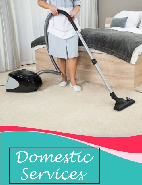 Domestic Services Domestic Services