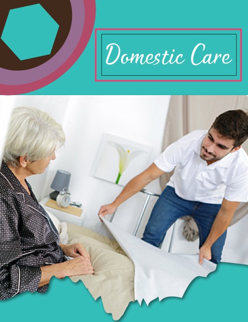 Domestic care